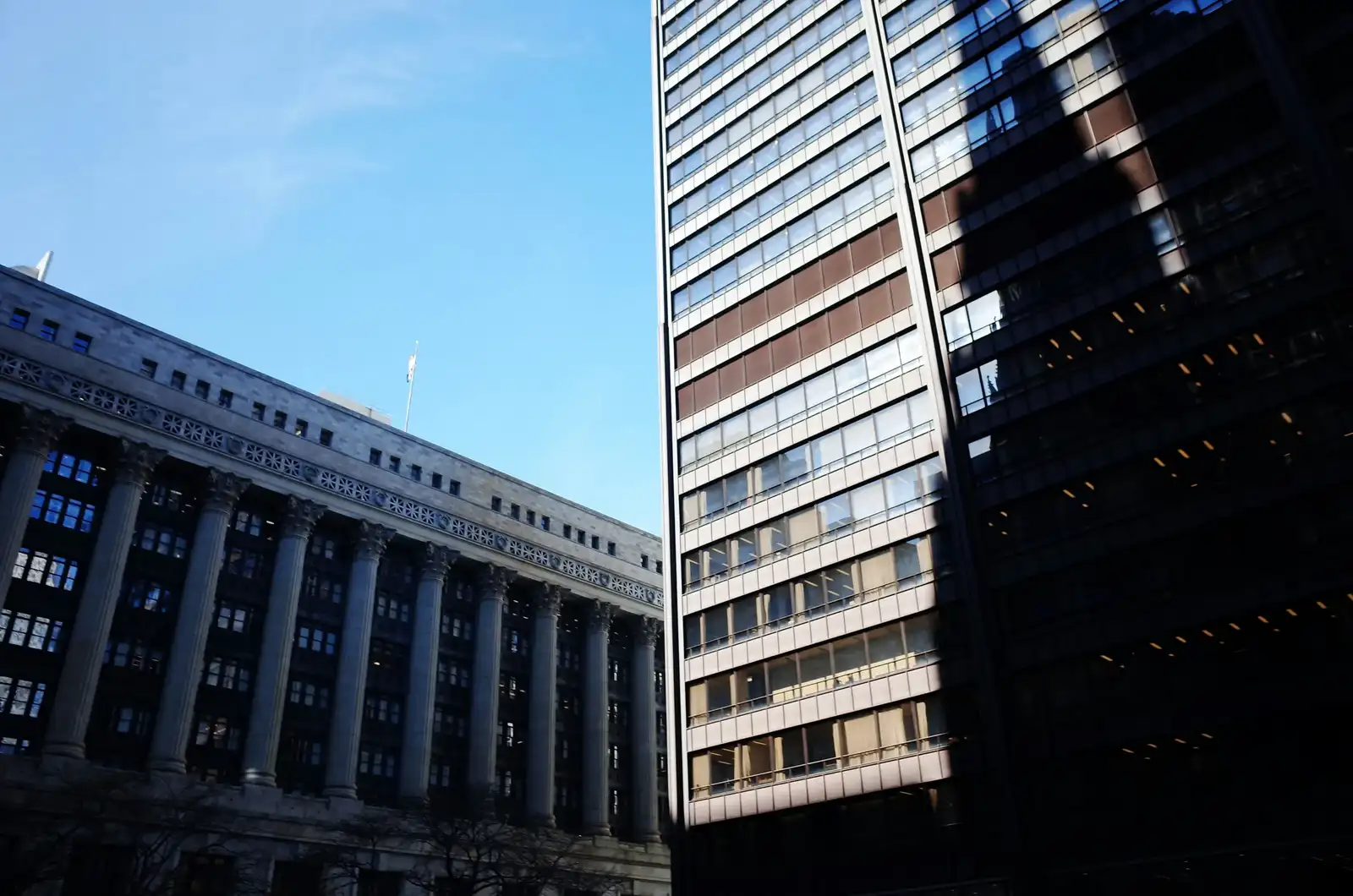 Chicago City Hall and the Daley Center